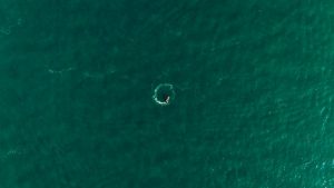 bill-belichick-finishes-first-college-season-at-4-1764579326-300x169 Bill Belichick's Stunning First Season: 4-8 Record