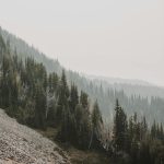 Serene view of a misty mountain forest in Washington, showcasing natural beauty and tranquility.