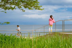 josh-allen-is-no-1-qb-all-time-in-rushing-tds-an-1764940719-300x200 Josh Allen's Stunning Rushing TD Record