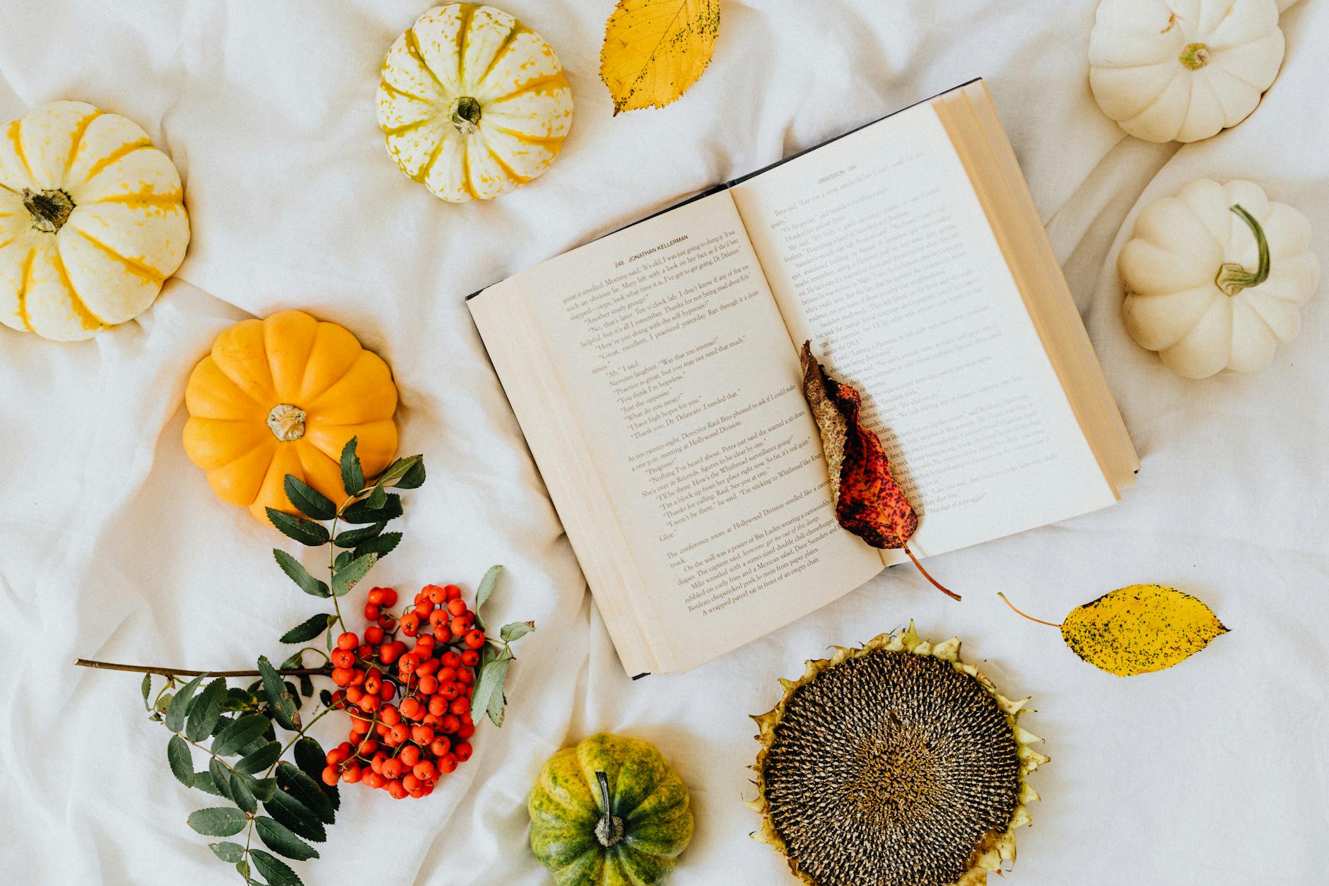 Overhead view of autumn leaves, pumpkins, and open book creating seasonal ambiance.